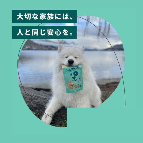 �O�����C�g �t���[�Y�h���C�g���[�c �~�j 25g �΃C�L_2