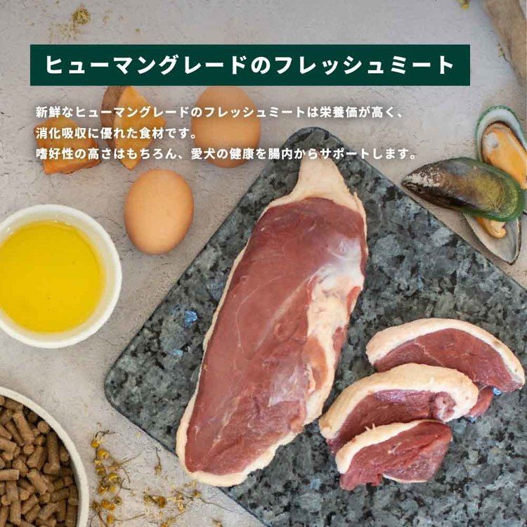 トライバル コールドプレスフレッシュ 12kg サーモン 7345289