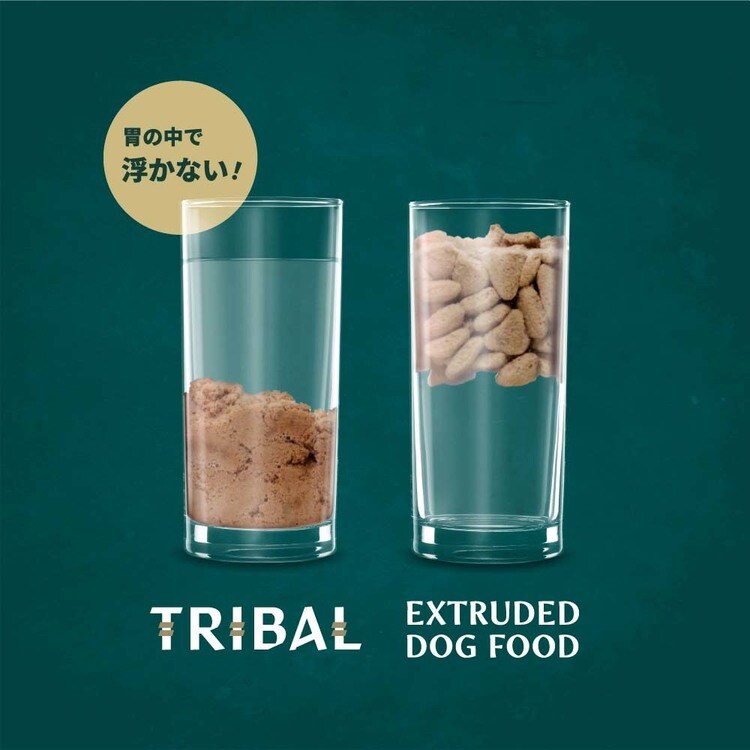 トライバル コールドプレスフレッシュ(スリム) 1.5kg サーモン 7345298