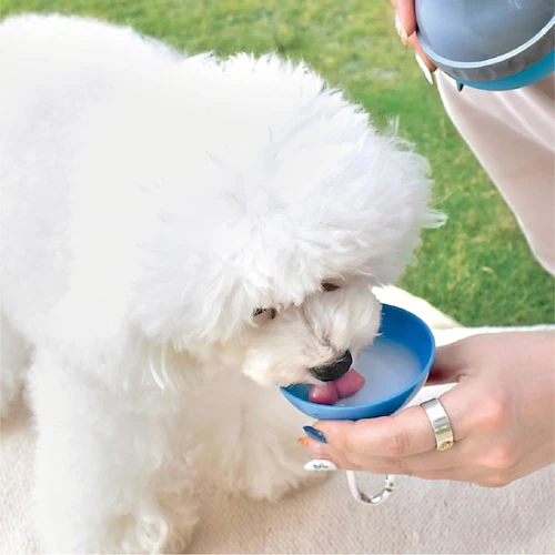 tasty! 天使のヤギミルク 80g りんごベジ味_4