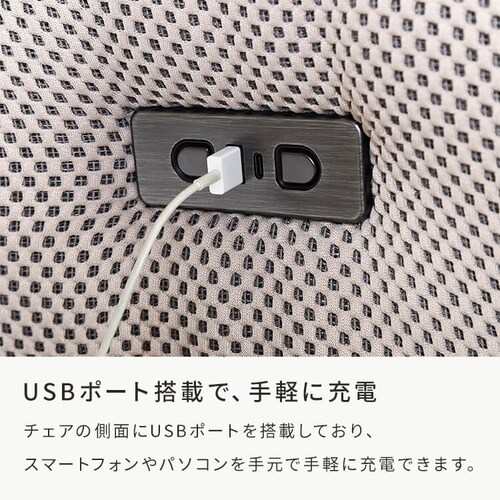 �d���p�[�\�i���`�F�A�[�@�l�n�u�d 49119 �O���[�y���Ԏw��s�z�y�v���U�Z���N�g�z�y������s�z_8