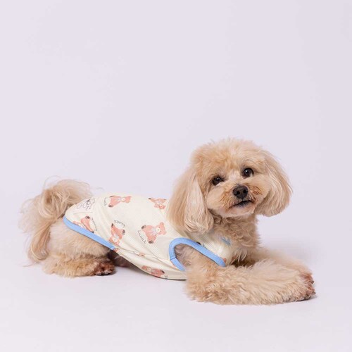 PiPi �h�b�O�E�F�A �^���N�g�b�v PP261-021-007 1���i���ܕ��j_2