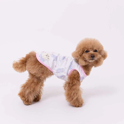 PiPi �h�b�O�E�F�A �^���N�g�b�v PP261-021-007 1���i���ܕ��j_5