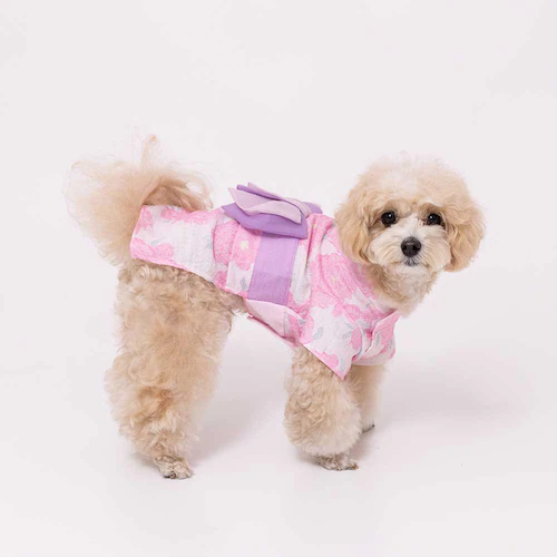 PiPi �h�b�O�E�F�A PP261-021-015 ���Ղ�͂��� 1���i���b�h�j_9