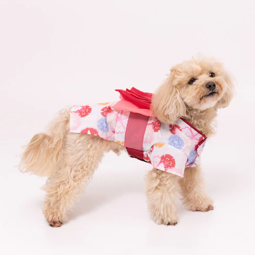 PiPi �h�b�O�E�F�A PP261-021-015 ���Ղ�͂��� 1���i���b�h�j_12