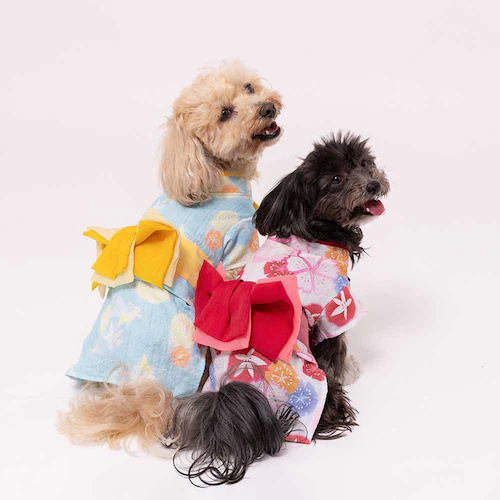 PiPi �h�b�O�E�F�A PP261-021-015 ���Ղ�͂��� 1���i���b�h�j_17