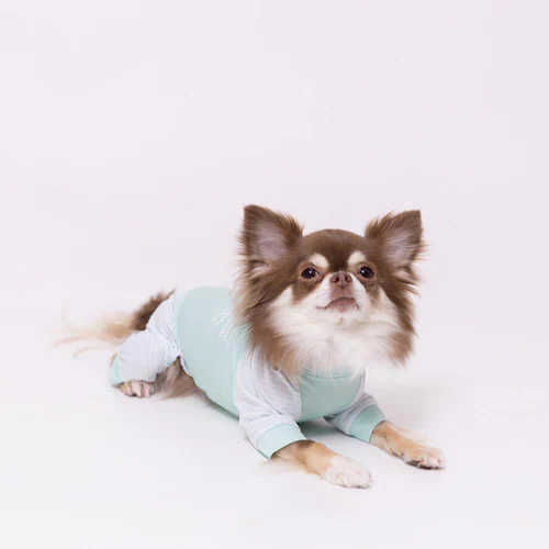 PiPi �h�b�O�E�F�A �h�������p�[�X PP261-021-031 1���i�O���[�j_8