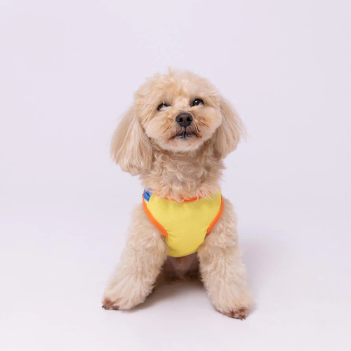PiPi �h�b�O�E�F�A �I�[�o�[�I�[�����^���N�g�b�v PP261-021-013 1���i�C�G���[�j_6