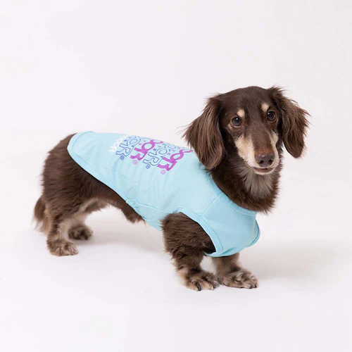 OUTDOOR �h�b�O�E�F�A �N�[���^���N�g�b�v OD261-021-007 ���S 1��_2