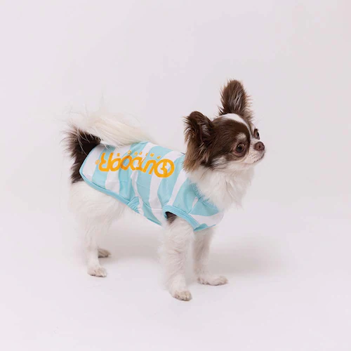 OUTDOOR �h�b�O�E�F�A �N�[���^���N�g�b�v OD261-021-007 ���S 1��_6