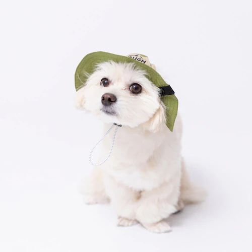 PiPi �h�b�O�E�F�A �T�t�@���n�b�g M PP251-291-005 �J�[�L_2
