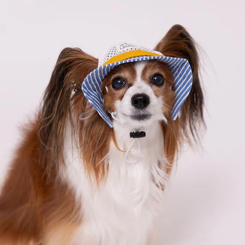 PiPi �h�b�O�E�F�A �q�b�R���[�n�b�g M PP261-291-002 ���b�h_8