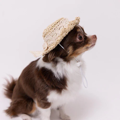 PiPi �h�b�O�E�F�A �X�g���[�n�b�g S PP261-291-013_4