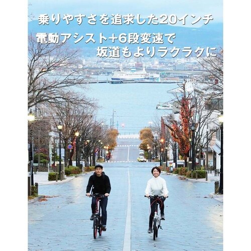 �g�����X���o�C���[ TRANS MOBILLY NEXT 206 �_�[�N�x�[�W�� 92216-0599 �y���Ԏw��s�z�y����s�z�y�����s�z_3