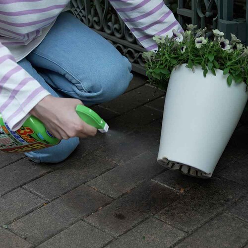 カダン お庭の虫キラーハンドスプレー 1000ml_5