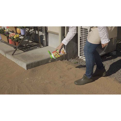 �J�_�� ����̒��L���[�U���E������ 700g_4