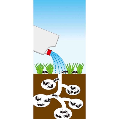 カダン アリ全滅シャワー液 1L_2