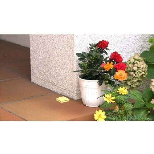 カダン ナメクジカダン 8個入り_3