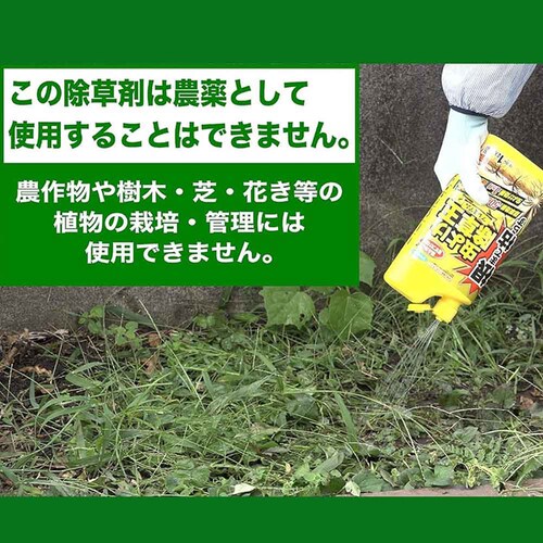 カダン 根まで枯らす虫よけ除草王プレミアム 2L_4