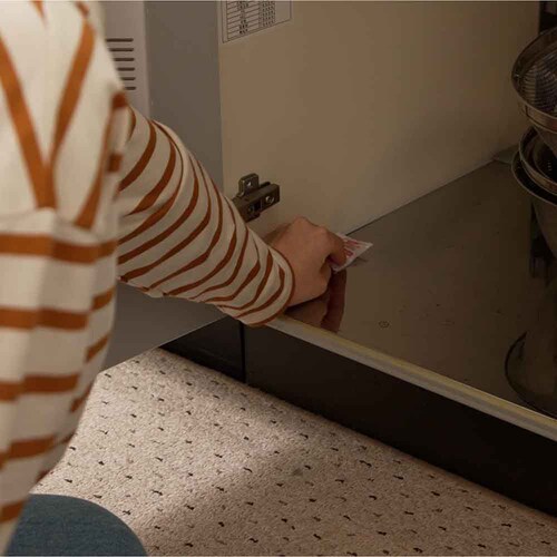 �J�_�� �h�� �f�X�p���[ �����v���~�A�� 2g�~20��_2