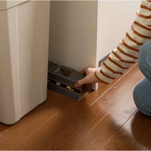 カダン ドラ デスパワー 強力粘着シート 2枚入り_3