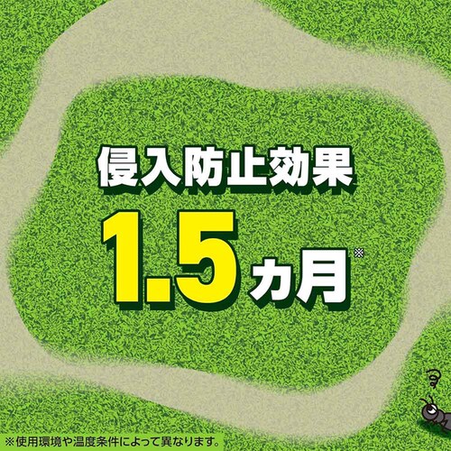 �A�[�X�K�[�f�� �A������ ���^�C�v 1.2kg_2