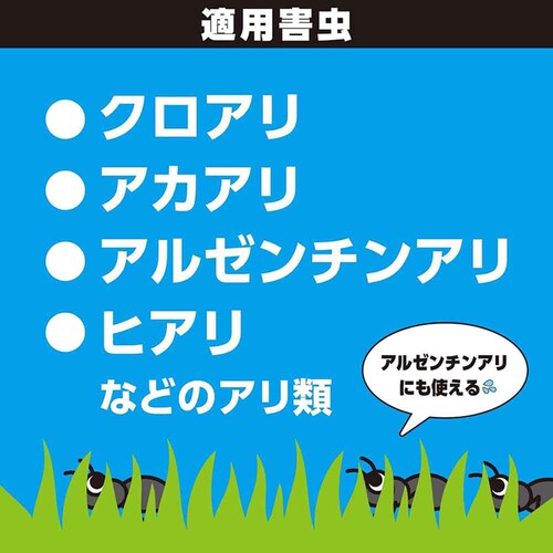 �A�[�X�K�[�f�� �A������ ���^�C�v 1.2kg_3