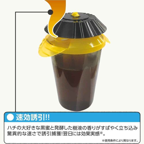 �A�[�X�K�[�f�� �n�`��茂�� �ߊl��^�C�v 2����_5