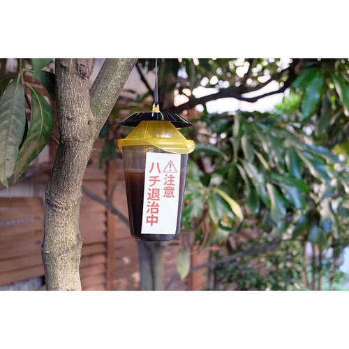 �A�[�X�K�[�f�� �n�`��茂�� �ߊl��^�C�v 2����_7