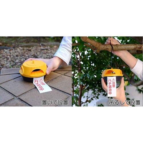 �A�[�X�K�[�f�� �X�Y���o�`�̑����� �쏜�G�T�^�C�v 1����_2