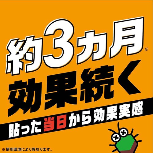 �A�[�X�K�[�f�� �J�����V�悯���� �\��^�C�v 2����_2