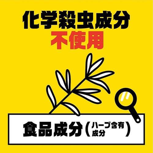 �A�[�X�K�[�f�� �J�����V�悯���� �\��^�C�v 2����_5