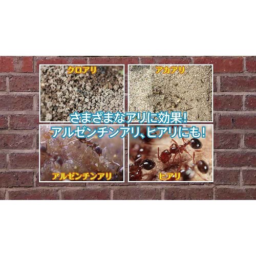 住友化学園芸 アリアトール粉剤EX 700g_3