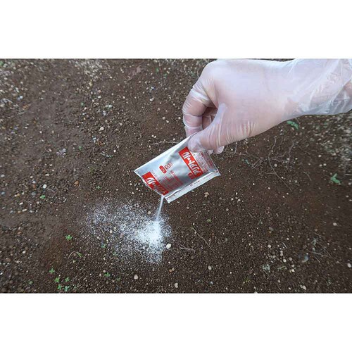 �Z�F���w���| �A���A�g�[�� 5g�~8_4