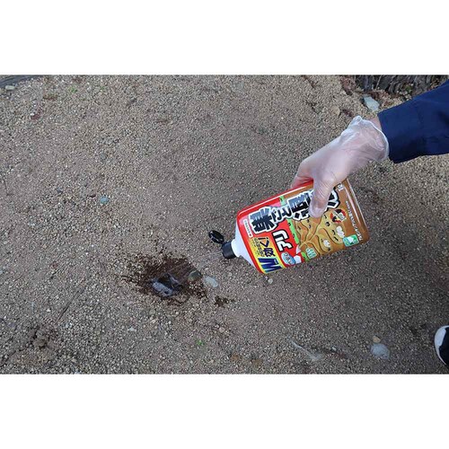 �Z�F���w���| �A���A�g�[���V�����[�����Ƒގ� 1L_3