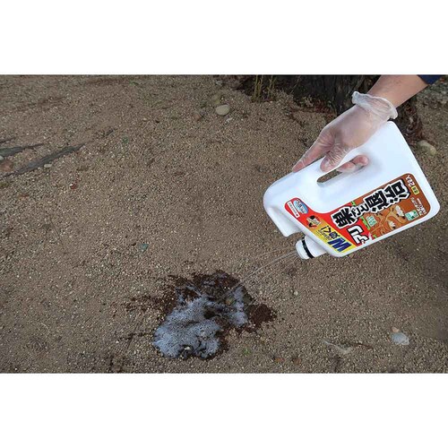 �Z�F���w���| �A���A�g�[���V�����[�����Ƒގ� 2L_3