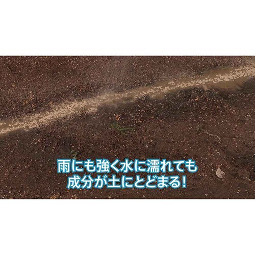 �Z�F���w���| �s���Q������EX 1.2kg_5