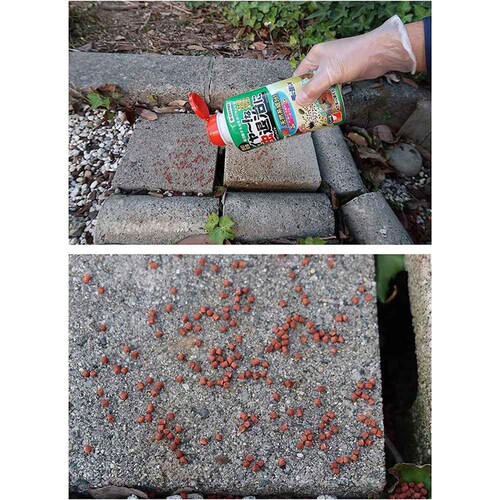 �Z�F���w���| �u���E���x�C�g 330g_3