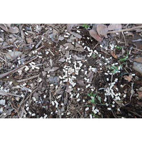 �Z�F���w���| �i���ގ��x�C�g 150g_4