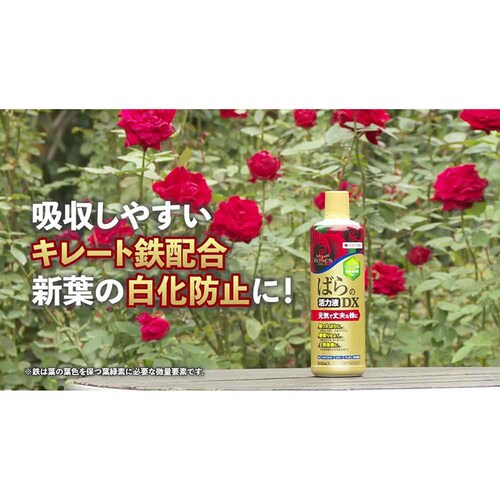 �Z�F���w���| �}�C���[�Y �΂�̊��͉tDX 800ml_3