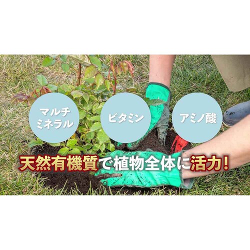 �Z�F���w���| �}�C���[�Y �΂�̊��͉tDX 800ml_4