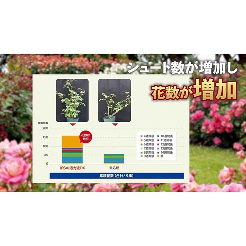 �Z�F���w���| �}�C���[�Y �΂�̊��͉tDX 800ml_5