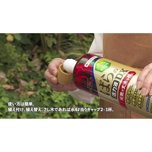 �Z�F���w���| �}�C���[�Y �΂�̊��͉tDX 800ml_6