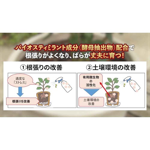 �Z�F���w���| �}�C���[�Y �΂�̊��͉tDX 800ml_7