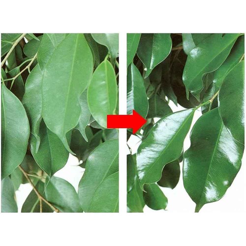 �Z�F���w���| ���[�t�N�����Ɩ��p 480ml_3