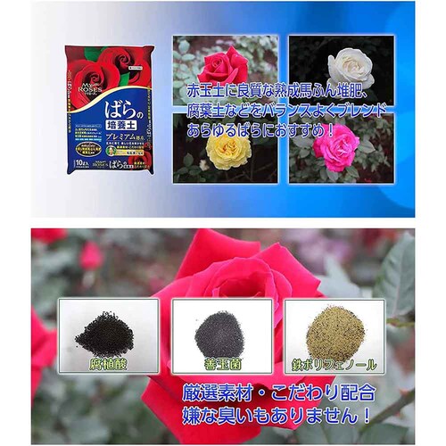 �Z�F���w���| �}�C���[�Y �΂�̔|�{�y 10L_3