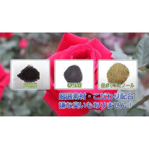 �Z�F���w���| �}�C���[�Y �΂�̔|�{�y 10L_4