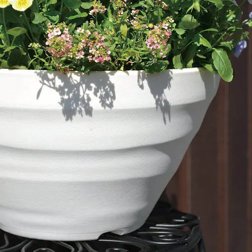 �A�b�v���E�F�A�[ �N���t�g�{�[�� 24�^ �z���C�g_6