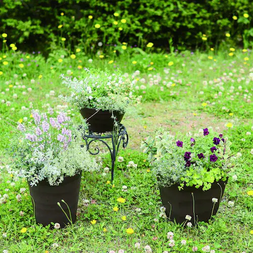 �A�b�v���E�F�A�[ �N���t�g�{�[�� 24�^ �z���C�g_7