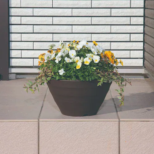 �A�b�v���E�F�A�[ �N���t�g�{�[�� 24�^ �z���C�g_9